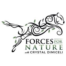 60. Forces for Nature Season 3 Wrap-Up and Updates with Crystal DiMiceli
