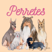 Perretes | Las razas de perros - Toñi Martínez