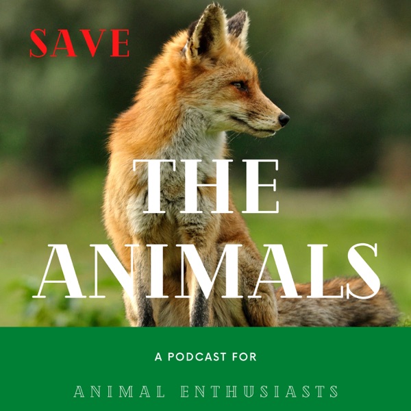 Saving Animals Podcast Artwork