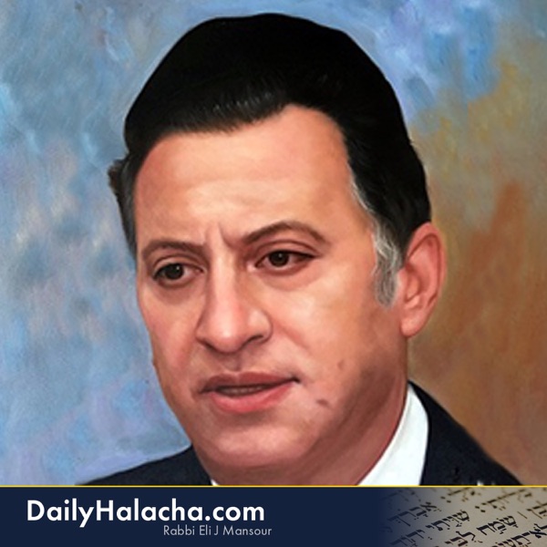 Daily Halacha Podcast - Daily Halacha By Rabbi Eli J. Mansour