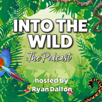 Into The Wild podcast