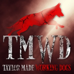 Taylor Made Working Dogs Dog-Cast: Ep. 4 Dogs' Drives