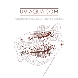 UViAQUA.com