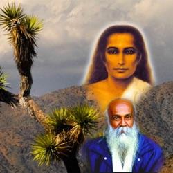 Tamil Kriya Yoga Siddhantham -- Ten Carat Gold - Part 1