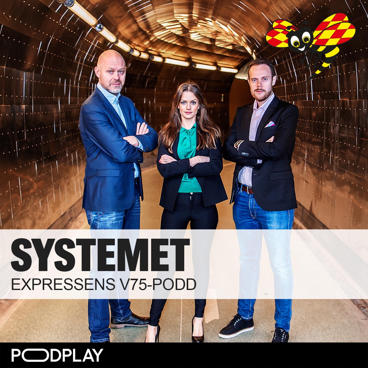 Systemet – Lyssna Här – Podtail