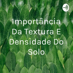 Importância Da Textura E Densidade Do Solo