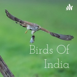 Birds of India