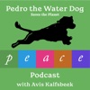 Pedro the Water Dog Saves the Planet Peace Podcast artwork