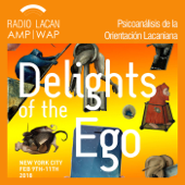 RadioLacan.com | Hacia los Clinical Study Days 11: Las delicias del Ego, Conferencia de Domenico Cosenza: El Ego en la Anorex - Unknown