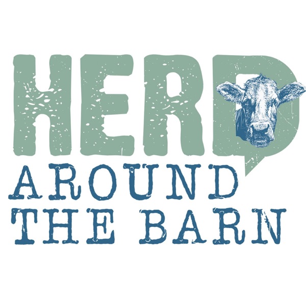 Herd Around the Barn
