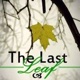 The Last Leaf 🍁