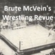 Brute McVein's Wrestlin Revue #17 : WWF MAGAZINE JANUARY 1995