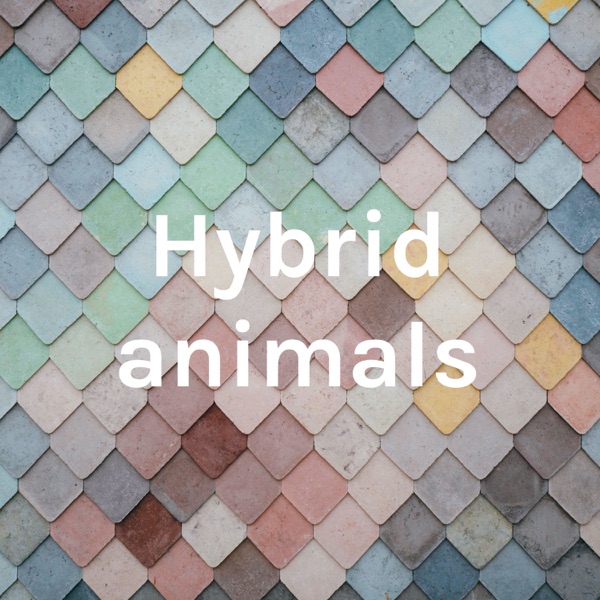 Hybrid animals Artwork