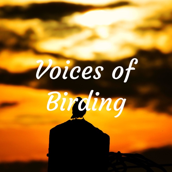 Voices of Birding History Artwork