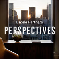 Perspectives: In discussion with Adrian Redlich of Merricks Capital