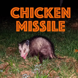 Chicken Missile