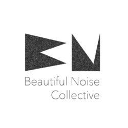 Beautiful Noise