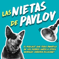 033: Indefension aprendida, el solitario George, elefantes migrantes y perros en autos