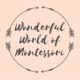 Wonderful World of Montessori