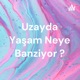 Uzayda yaşam neye benziyor?