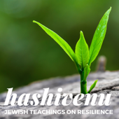 Hashivenu - Reconstructing Judaism