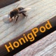 HonigPod