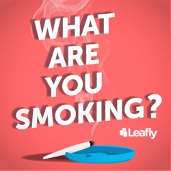 What Are You Smoking Episode 72: Edibles on a Plane