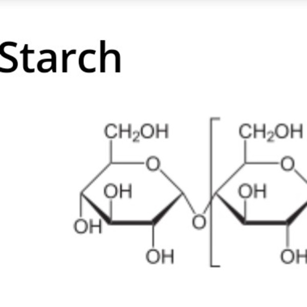 Polysaccharides Artwork