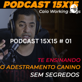 DOGCAST ADESTRAMENTO CWD 15X15 - Caio Alexandre dos Santos Rodr