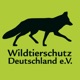 Initiative Wildtierschutz Sachsen gegründet