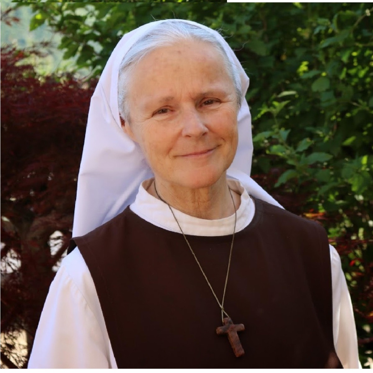 Chapelet De La Misericorde Divine Soeur Emmanuel Maillard Medjugorje Enfants de Medjugorje Emmanuel Maillard – Podcast – Podtail