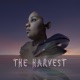 The Harvest #6 | END GAME