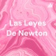 Las Leyes De Newton 