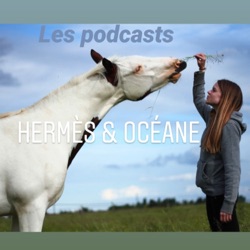 Hermès et Océane