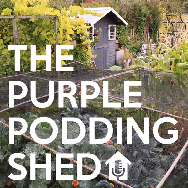 Artwork for The Purple Podding Shed