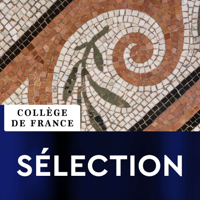 Leçon inaugurale - Didier Roux : Recherche fondamentale, Inventions et Innovations