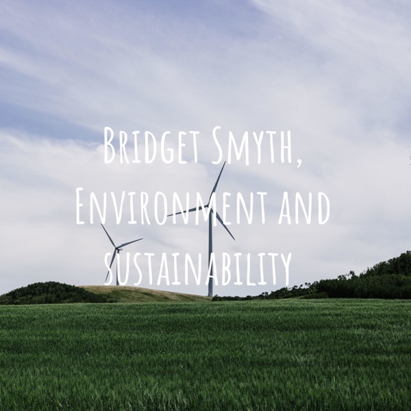 Bridget Smyth, Environment and sustainability Artwork