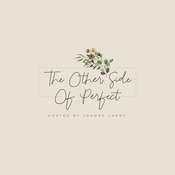 The Other Side Of Perfect