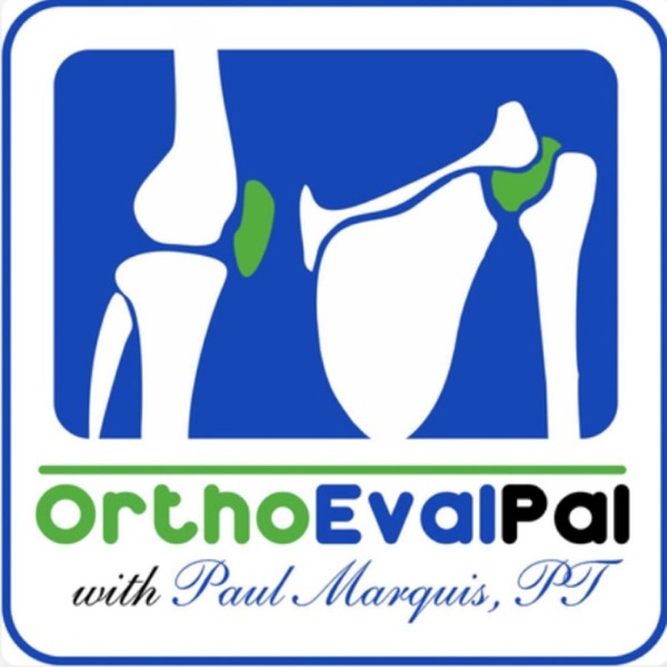 Ortho Eval Pal: Optimizing Orthopedic Evaluations and Management Skills Artwork
