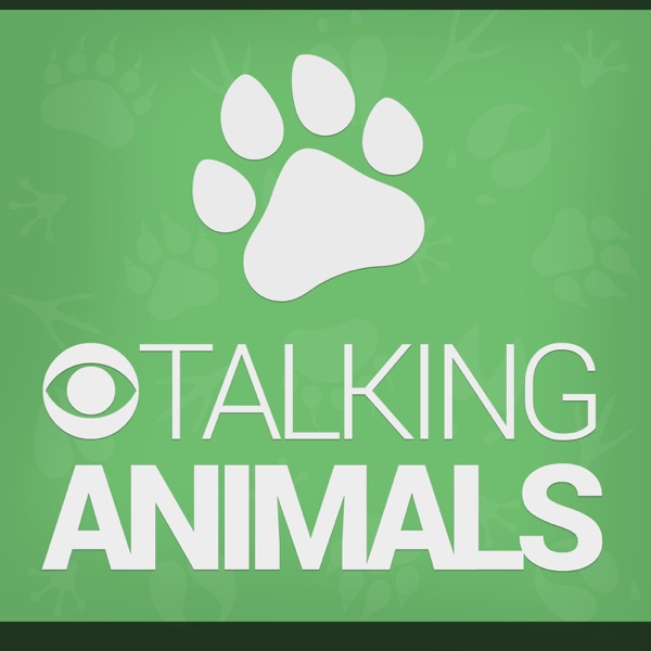 Talking Animals Artwork