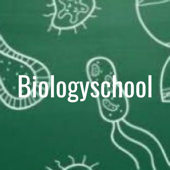 Biologyschool - Харзина Ольга Анатольевна