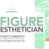 The Six Figure Esthetician Show