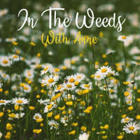 Episode 10: Dave Goulson