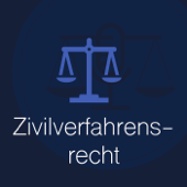 Vorlesung Zivilverfahrensrecht - Martin Fries