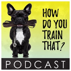 Training your dog to “drop it”