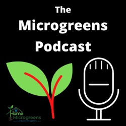 How Much Microgreens Will a Tray Produce?  Microgreens Yield Per Tray