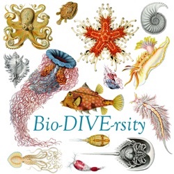 Bio-DIVE-rsity