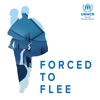 Forced To Flee artwork
