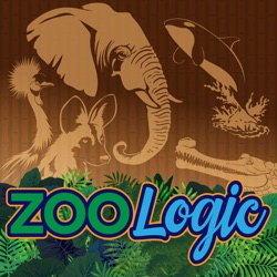 Zoological Association of America's New Leader