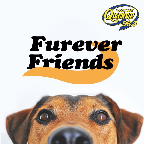 Furever Friends – Quicksie 98.3 Artwork